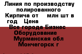 Линия по производству полированного  Кирпича от 70 млн.шт.в год › Цена ­ 182 500 000 - Все города Бизнес » Оборудование   . Мурманская обл.,Мончегорск г.